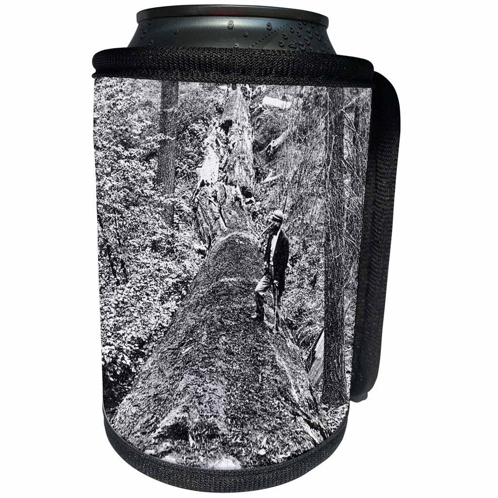 3dRose Scenes from the Past Magic Lantern Slides - Vintage Lumberjack with Axe on Top of Fallen Redwood Tree - Can Cooler Bottle Wrap (cc_269897)