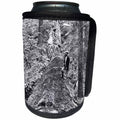 3dRose Scenes from the Past Magic Lantern Slides - Vintage Lumberjack with Axe on Top of Fallen Redwood Tree - Can Cooler Bottle Wrap (cc_269897)