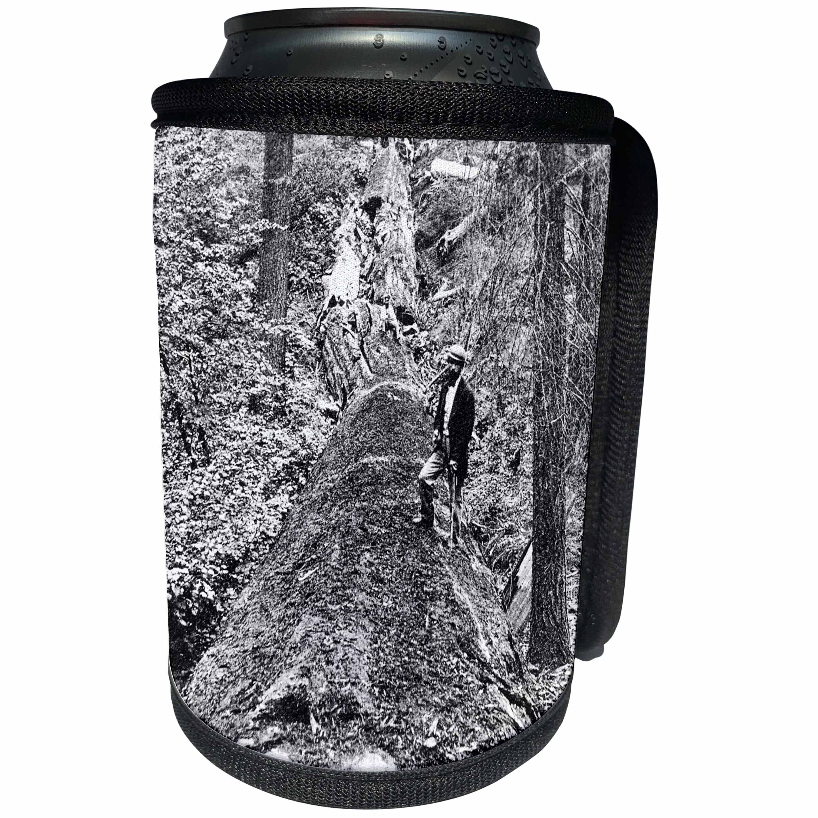 3dRose Scenes from the Past Magic Lantern Slides - Vintage Lumberjack with Axe on Top of Fallen Redwood Tree - Can Cooler Bottle Wrap (cc_269897)