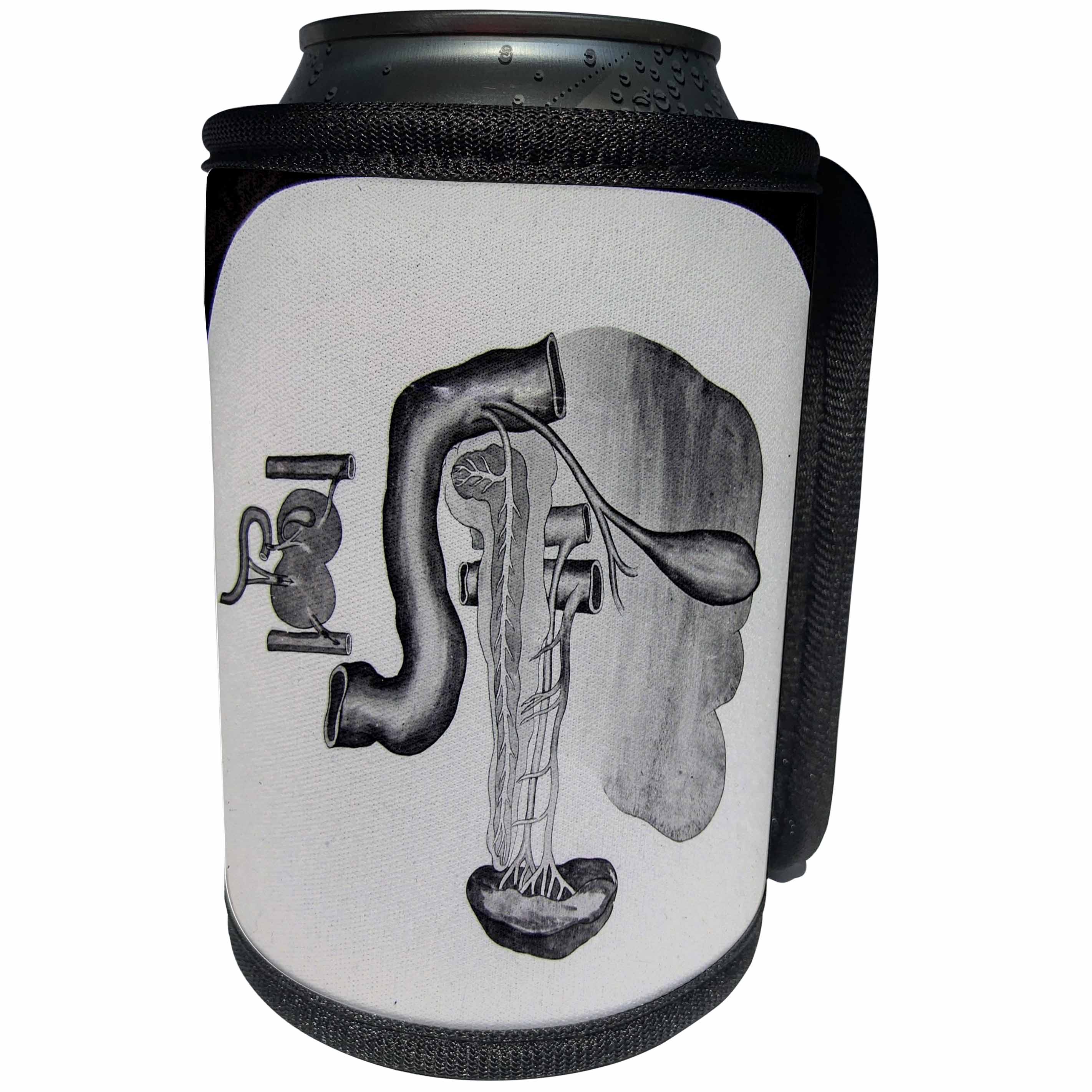 3dRose Scenes from the Past Magic Lantern Slides - The Human Liver Anatomy Education Vintage Scientific Slide 1920 - Can Cooler Bottle Wrap (cc_269953)