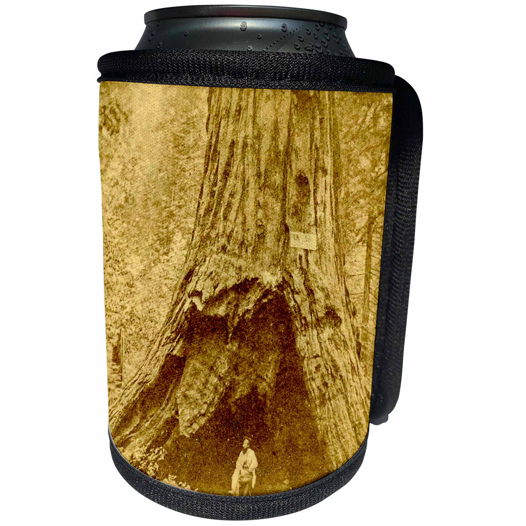 3dRose Scenes from the Past Vintage Stereoview Cards - Giant Sequoia Calaveras Big Trees State Park California Pioneer Cabin - Can Cooler Bottle Wrap (cc_270008)