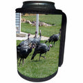 3dRose Jos Fauxtographee- Turkey Trot - Six Turkeys Trotting on some grass in a yard in PV UT in Oct - Can Cooler Bottle Wrap (cc_270170)