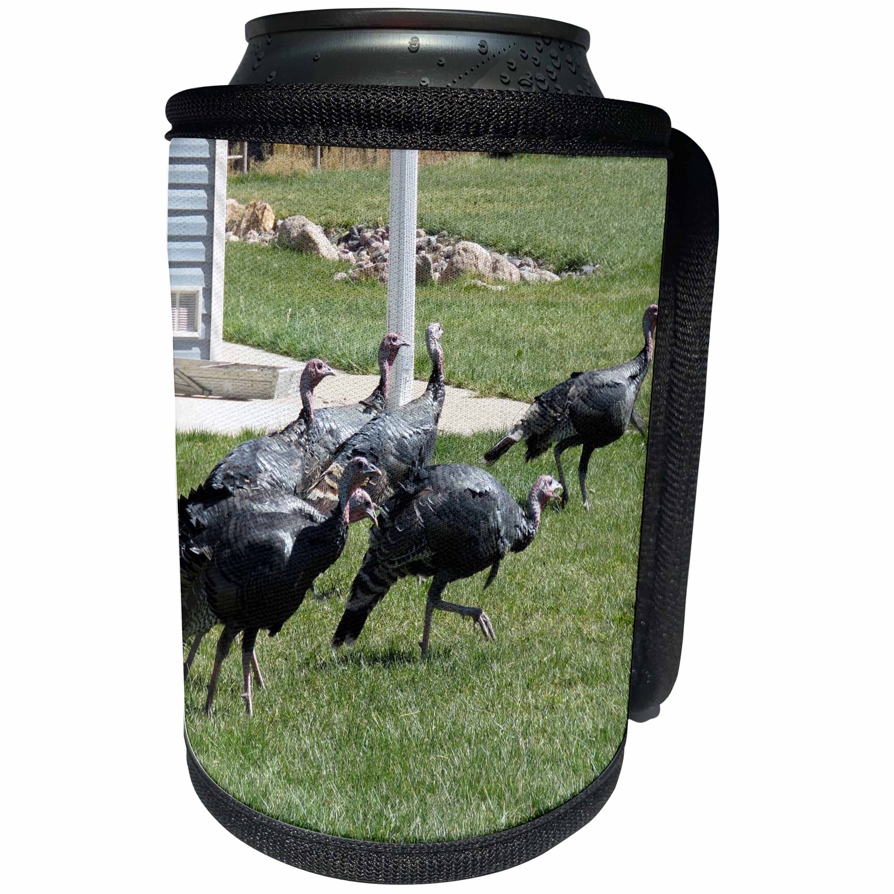 3dRose Jos Fauxtographee- Turkey Trot - Six Turkeys Trotting on some grass in a yard in PV UT in Oct - Can Cooler Bottle Wrap (cc_270170)