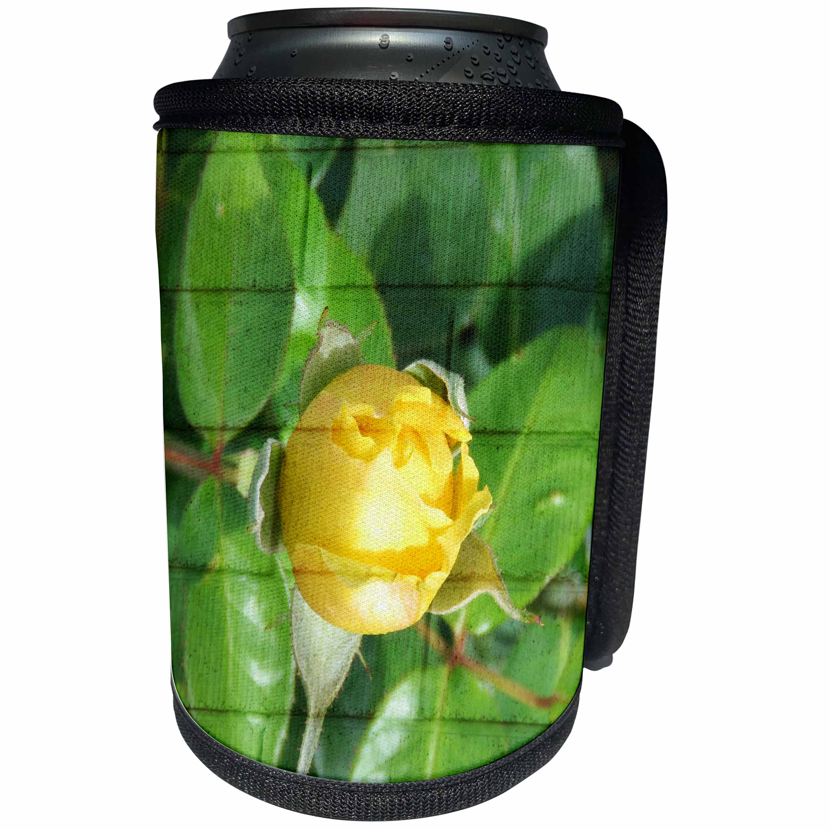 3dRose Jos Fauxtographee- Blended Layers Rose on Wall - A wall with horizontal lines behind a yellow rose bud - Can Cooler Bottle Wrap (cc_270178)
