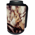 3dRose Alexis Photography - Animals - Squirrel animal sits on a tree and eats a nut. Stylized photo - Can Cooler Bottle Wrap (cc_270239)