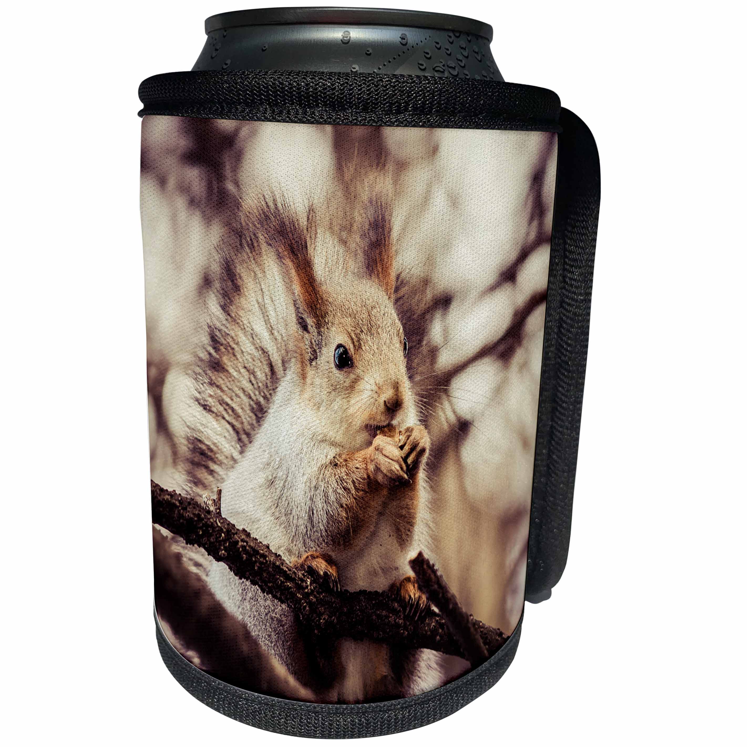 3dRose Alexis Photography - Animals - Squirrel animal sits on a tree and eats a nut. Stylized photo - Can Cooler Bottle Wrap (cc_270239)