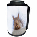 3dRose Alexis Photography - Animals - Squirrel animal sits on a tree and eats a nut. White background - Can Cooler Bottle Wrap (cc_270240)