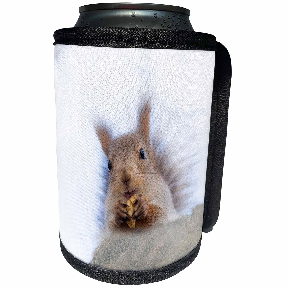 3dRose Alexis Photography - Animals - Squirrel animal sits on a tree and eats a nut. White background - Can Cooler Bottle Wrap (cc_270240)