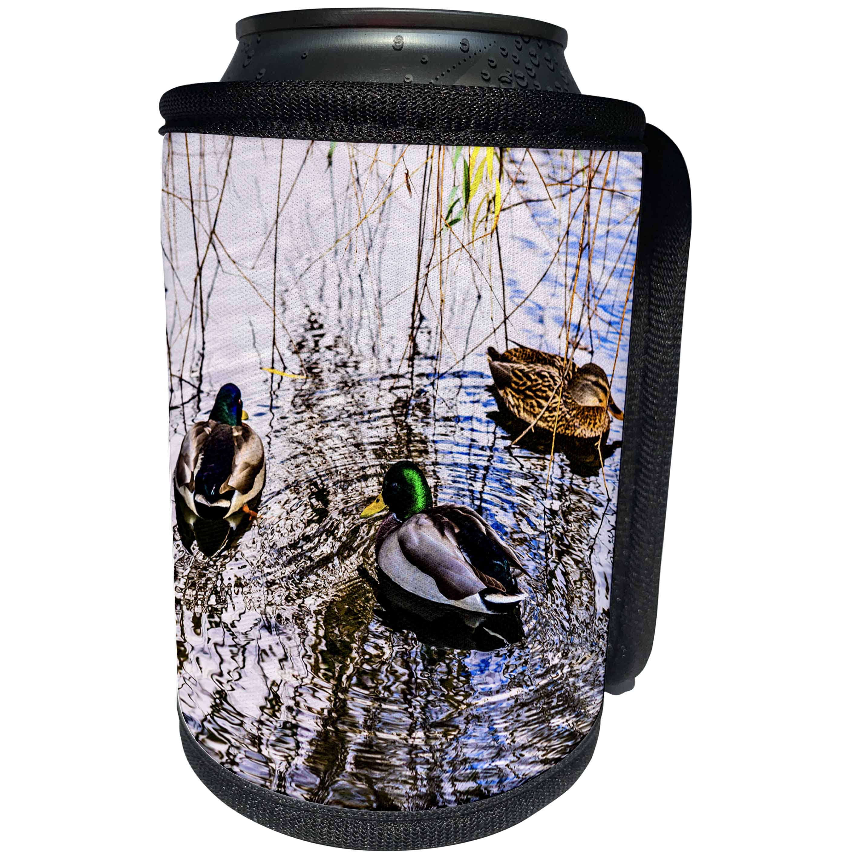 3dRose Alexis Photography - Birds - Three mallard ducks in a water. Willow twigs. Autumn season - Can Cooler Bottle Wrap (cc_270241)
