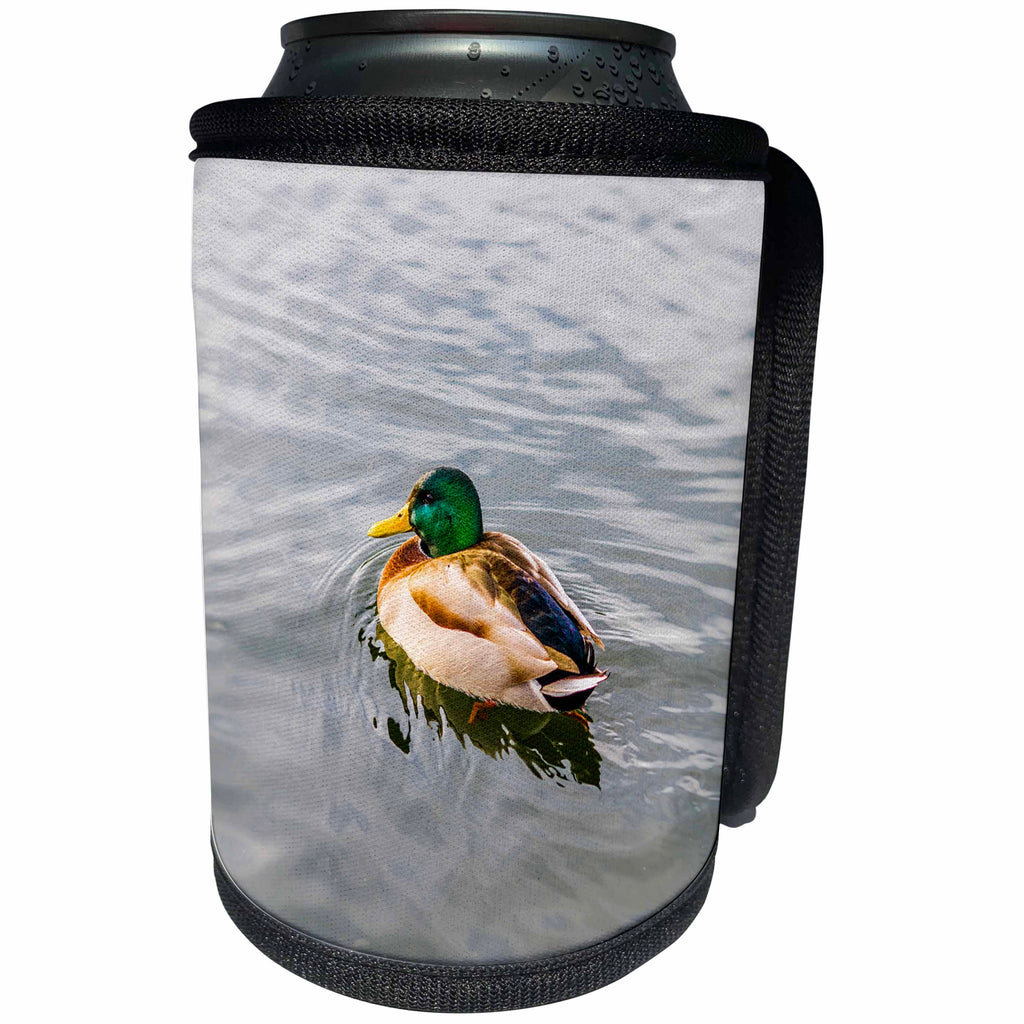 3dRose Alexis Photography - Birds - Mallard duck in a cold water. Autumn season - Can Cooler Bottle Wrap (cc_270242)