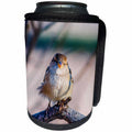 3dRose Alexis Photography - Birds - Sparrow sits on a tree twig and thinks some thought - Can Cooler Bottle Wrap (cc_270255)