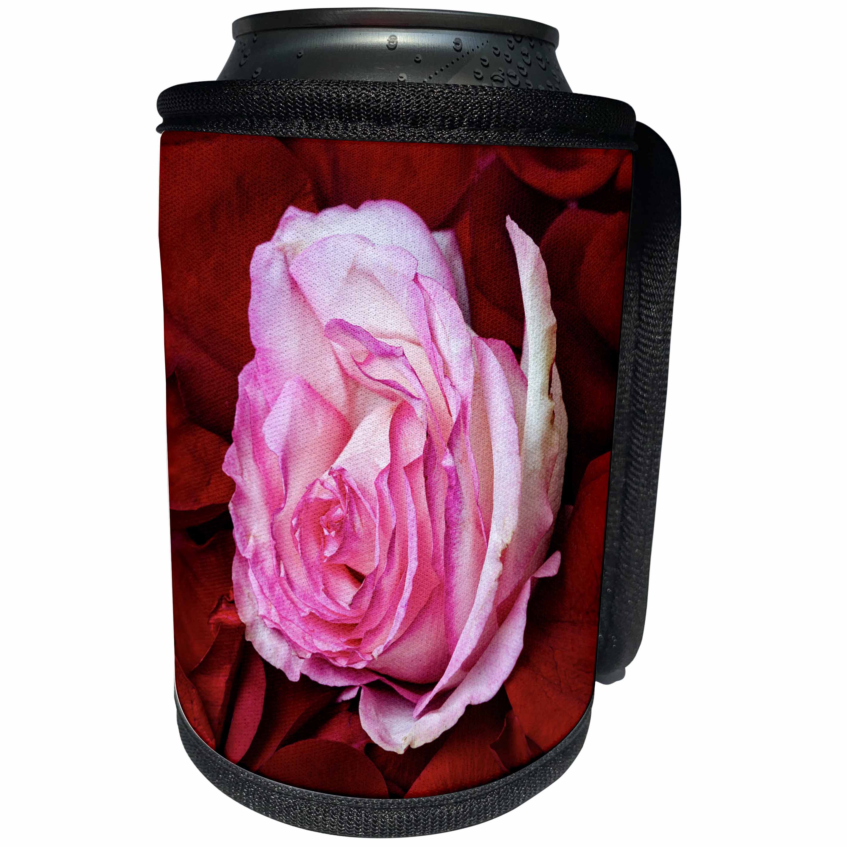 3dRose Alexis Photography - Flowers Rose - Pink rose flower among dark red and purple petals - Can Cooler Bottle Wrap (cc_270332)