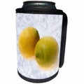 3dRose Alexis Photography - Food Lemon - Two yellow lemons, textured background - Can Cooler Bottle Wrap (cc_270339)
