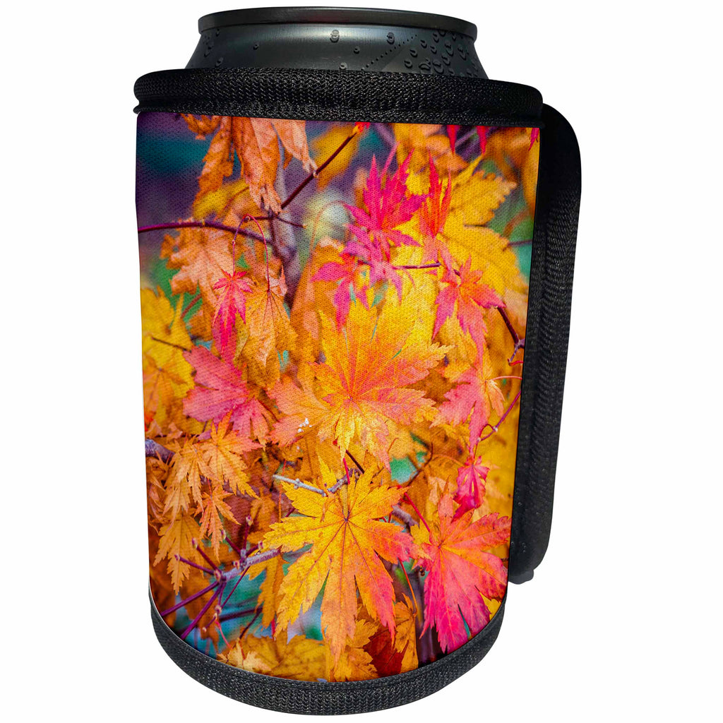 3dRose Alexis Photography - Seasons Autumn - Shining foliage of a Japanese maple tree - Can Cooler Bottle Wrap (cc_270359)
