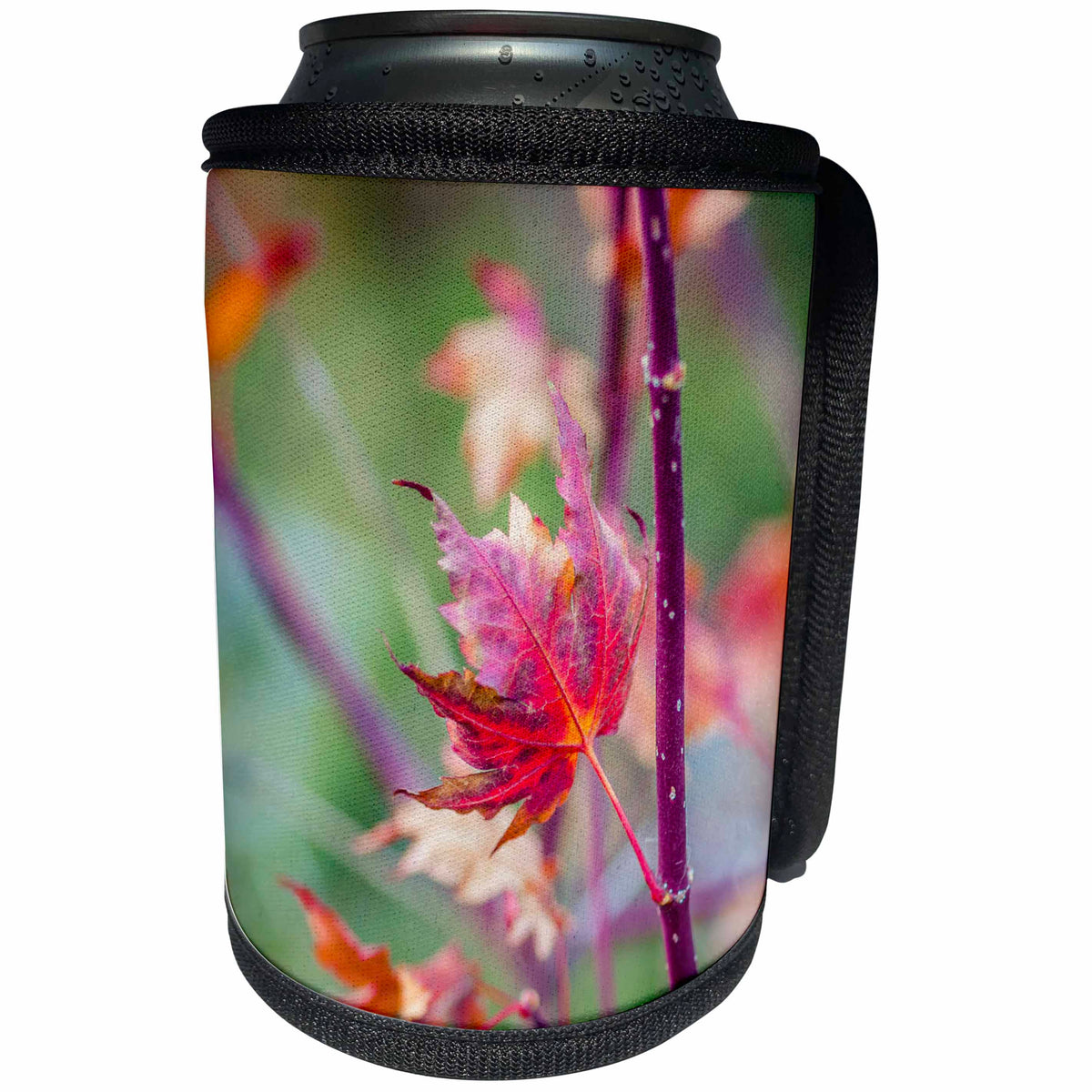 3dRose Alexis Photography - Seasons Autumn - Red maple leaf on a purple branch. Autumn season - Can Cooler Bottle Wrap (cc_270382)