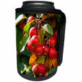3dRose Alexis Photography - Seasons Autumn - Closeup view of sunlit red crab apple fruits on a tree - Can Cooler Bottle Wrap (cc_270505)