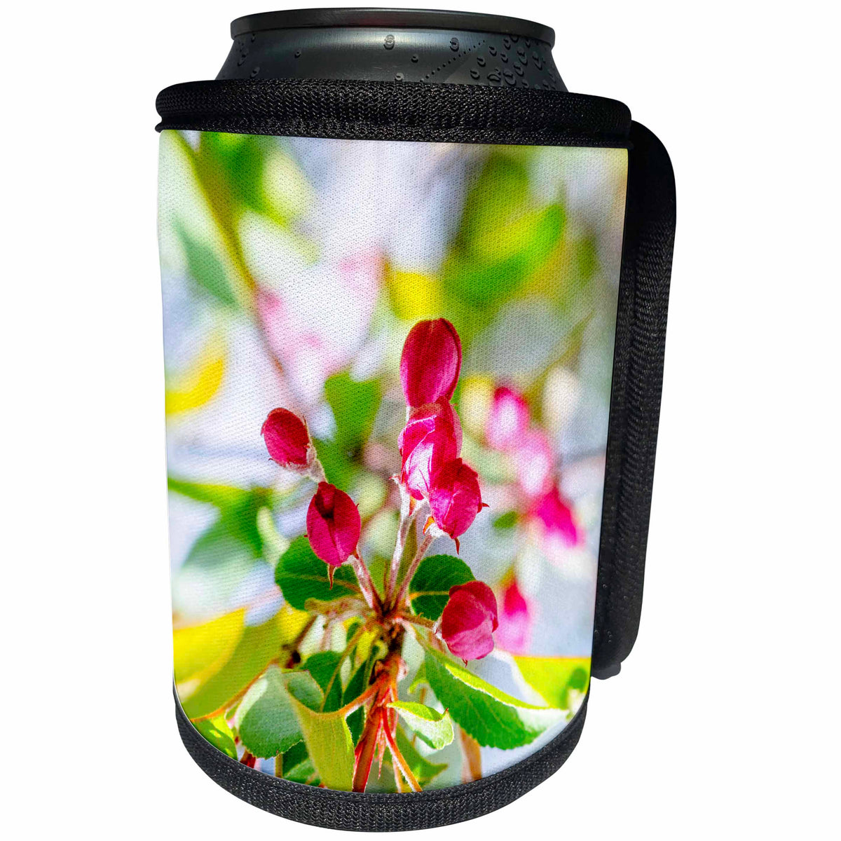 3dRose Alexis Photography - Flowers Crab Apple - Vivid purple crab apple blossom buds on a twig - Can Cooler Bottle Wrap (cc_270539)
