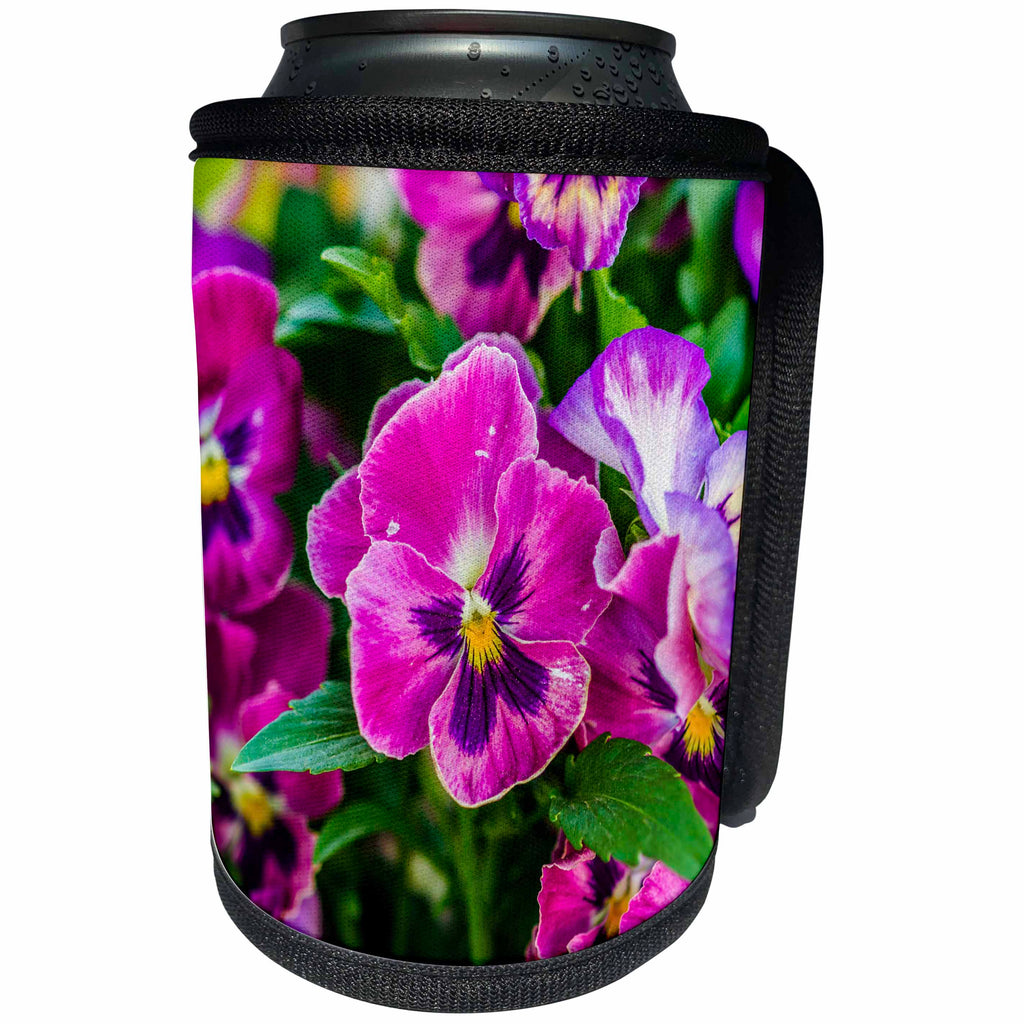 3dRose Alexis Photography - Flowers Pansy - Purple pansy flowers, green leaves, spring scene - Can Cooler Bottle Wrap (cc_270603)