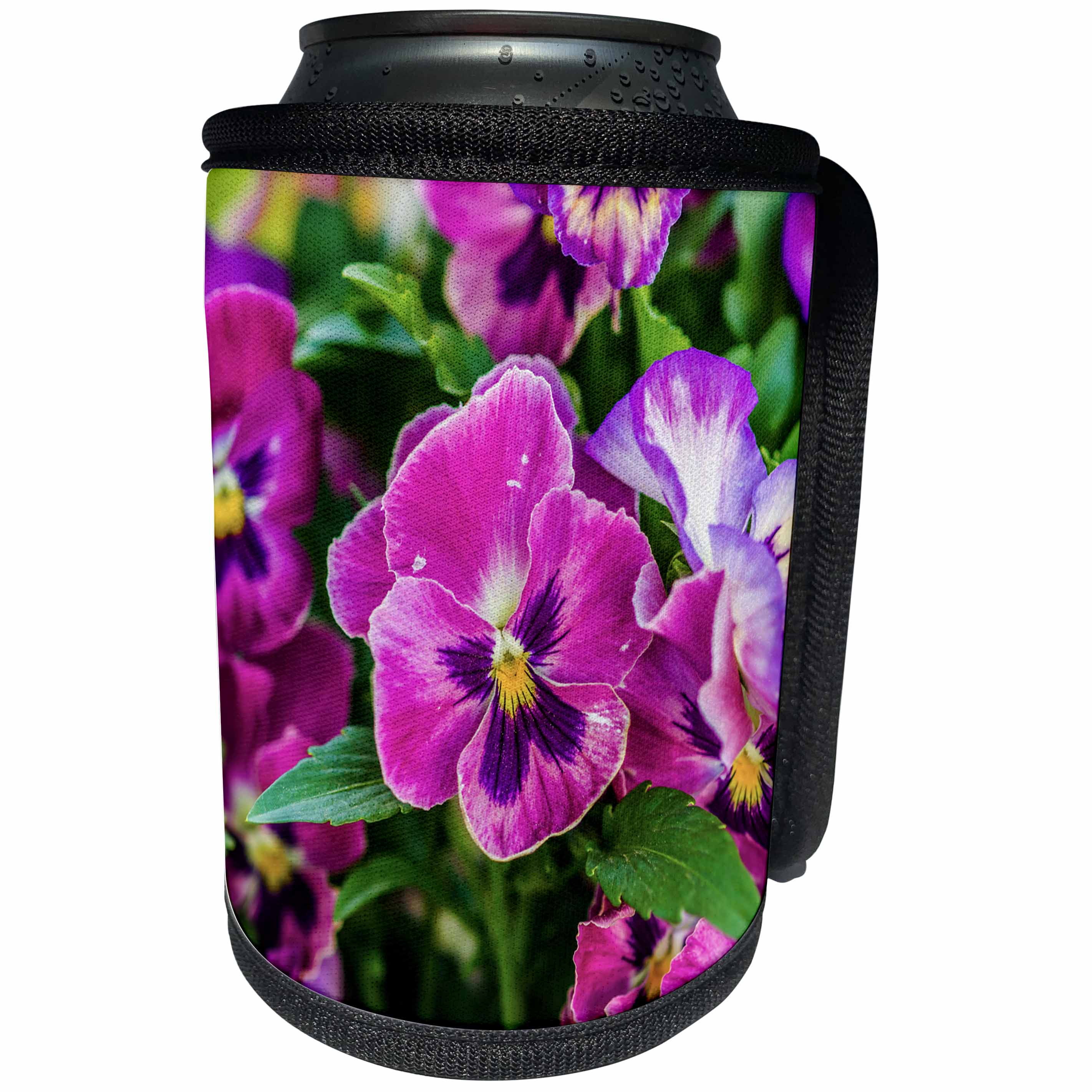 3dRose Alexis Photography - Flowers Pansy - Purple pansy flowers, green leaves, spring scene - Can Cooler Bottle Wrap (cc_270603)