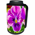 3dRose Alexis Photography - Flowers Pansy - Sunlit purple viola tricolor flower, green leaves - Can Cooler Bottle Wrap (cc_270606)