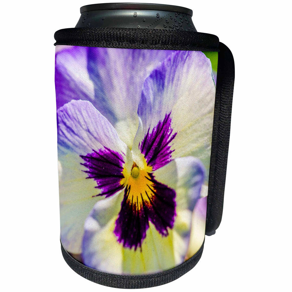 3dRose Alexis Photography - Flowers Pansy - Sunlit white, purple and yellow viola tricolor. Macro view - Can Cooler Bottle Wrap (cc_270609)