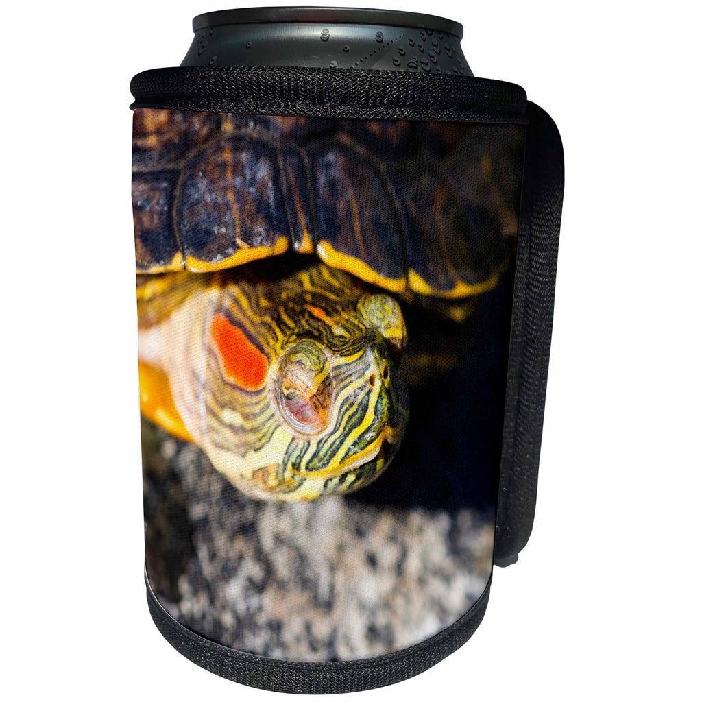 3dRose Alexis Photography - Animals - Closeup view of a red-eared turtle or pond terrapin - Can Cooler Bottle Wrap (cc_270681)