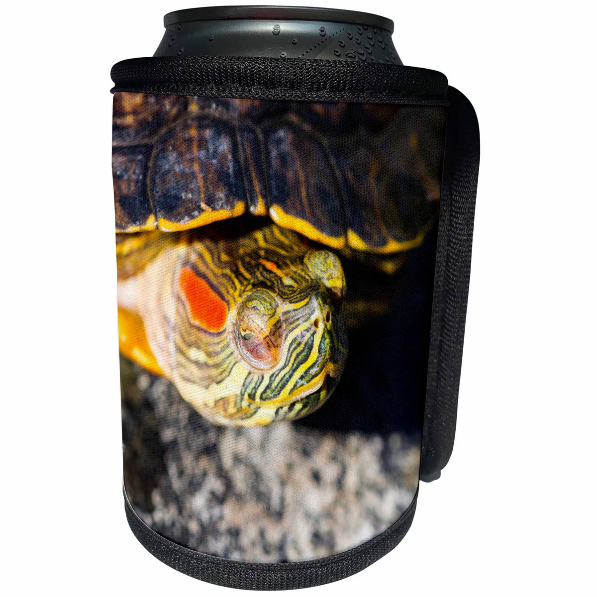 3dRose Alexis Photography - Animals - Closeup view of a red-eared turtle or pond terrapin - Can Cooler Bottle Wrap (cc_270681)