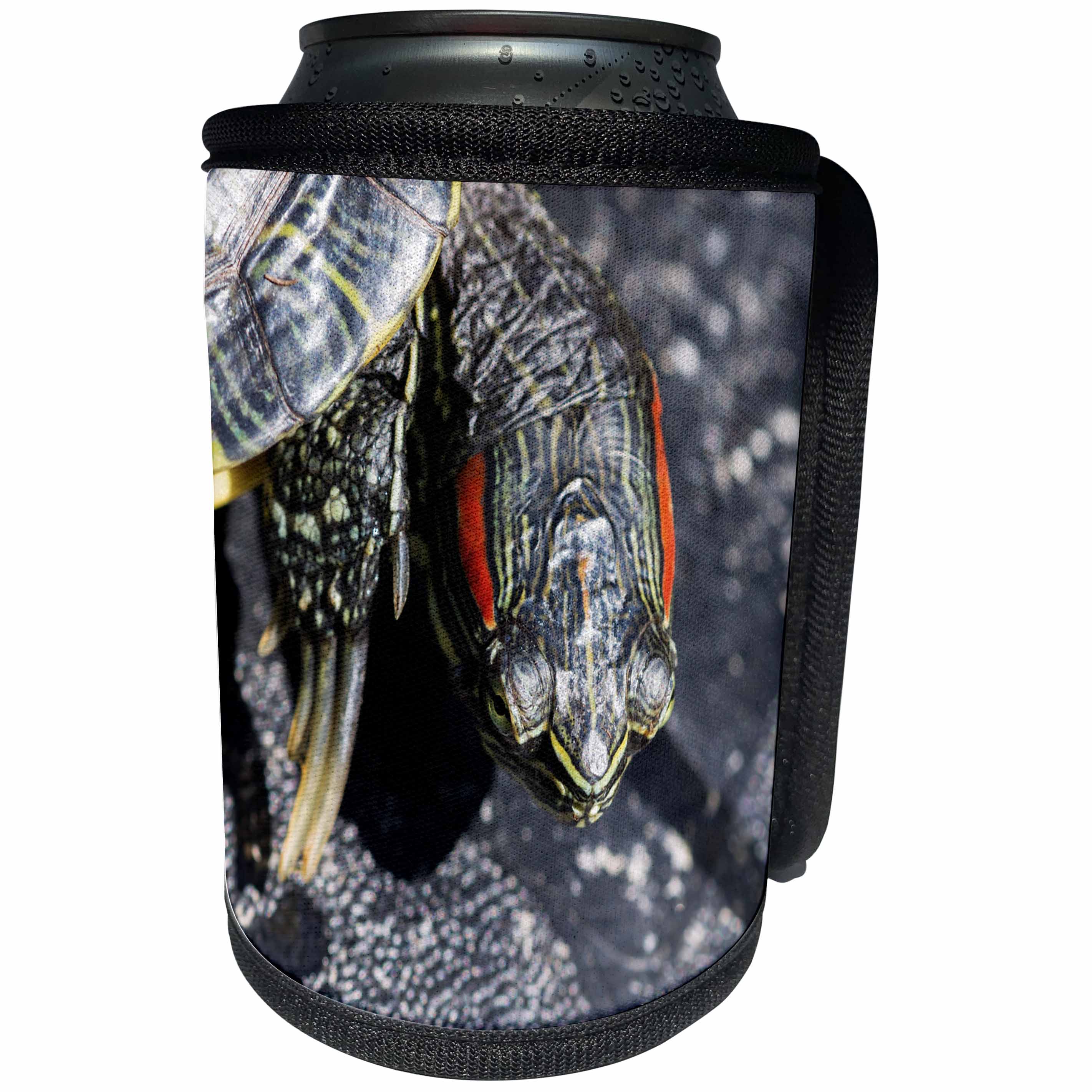 3dRose Alexis Photography - Animals - Red-eared turtle or pond terrapin looks at you - Can Cooler Bottle Wrap (cc_270682)