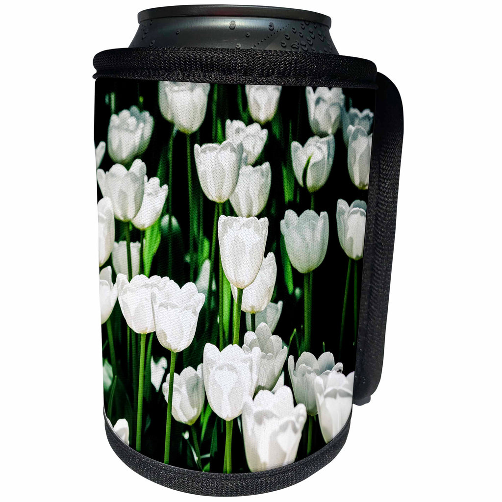 3dRose Alexis Photography - Flowers Tulip - Sunlit white tulip flowers, bright green stems - Can Cooler Bottle Wrap (cc_270704)