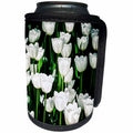 3dRose Alexis Photography - Flowers Tulip - Sunlit white tulip flowers, bright green stems - Can Cooler Bottle Wrap (cc_270704)