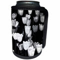 3dRose Alexis Photography - Flowers Tulip - Sunlit white tulip flowers, black and white photo - Can Cooler Bottle Wrap (cc_270705)
