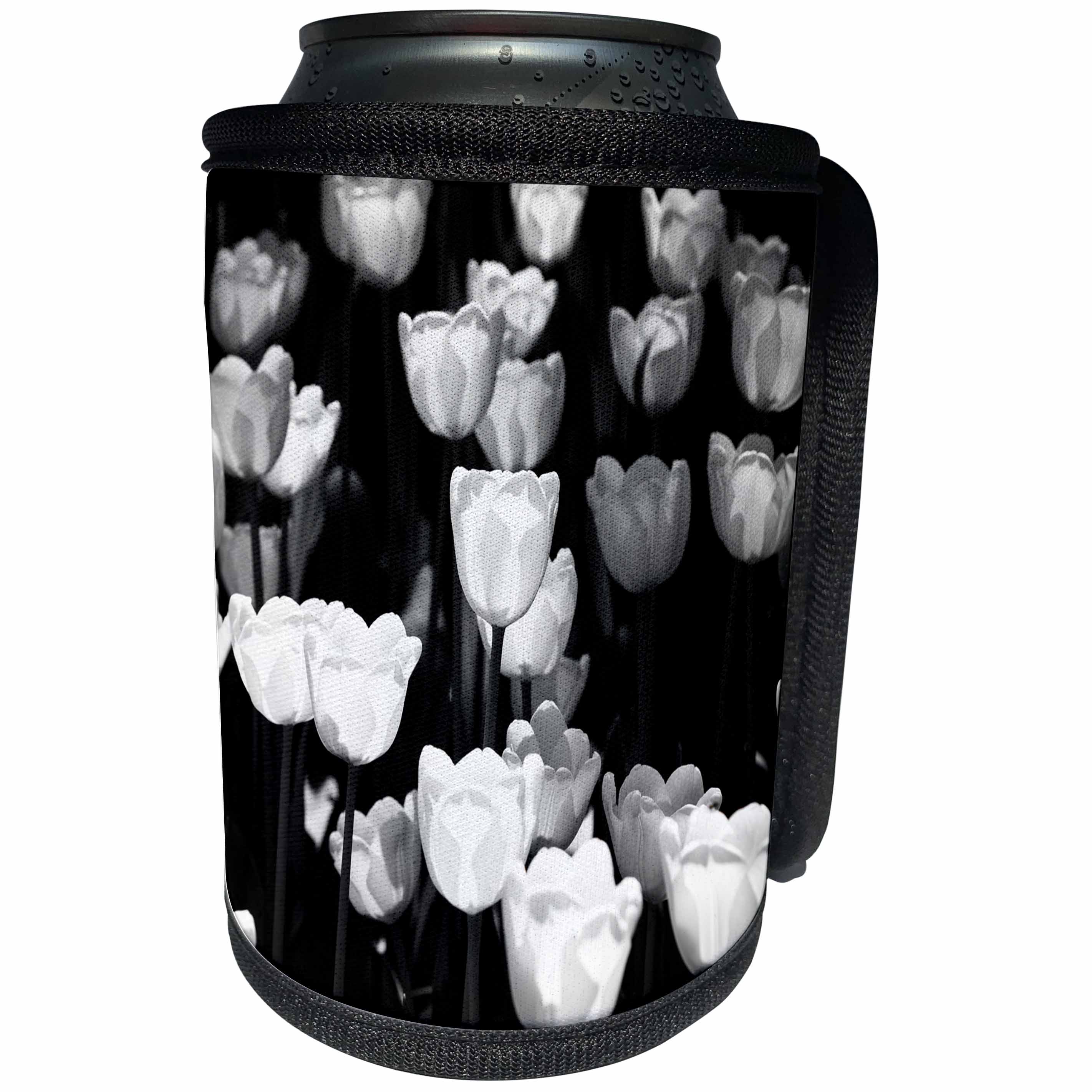 3dRose Alexis Photography - Flowers Tulip - Sunlit white tulip flowers, black and white photo - Can Cooler Bottle Wrap (cc_270705)