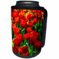 3dRose Alexis Photography - Flowers Tulip - Colorful, cheerful flowerbed of red tulips - Can Cooler Bottle Wrap (cc_270716)