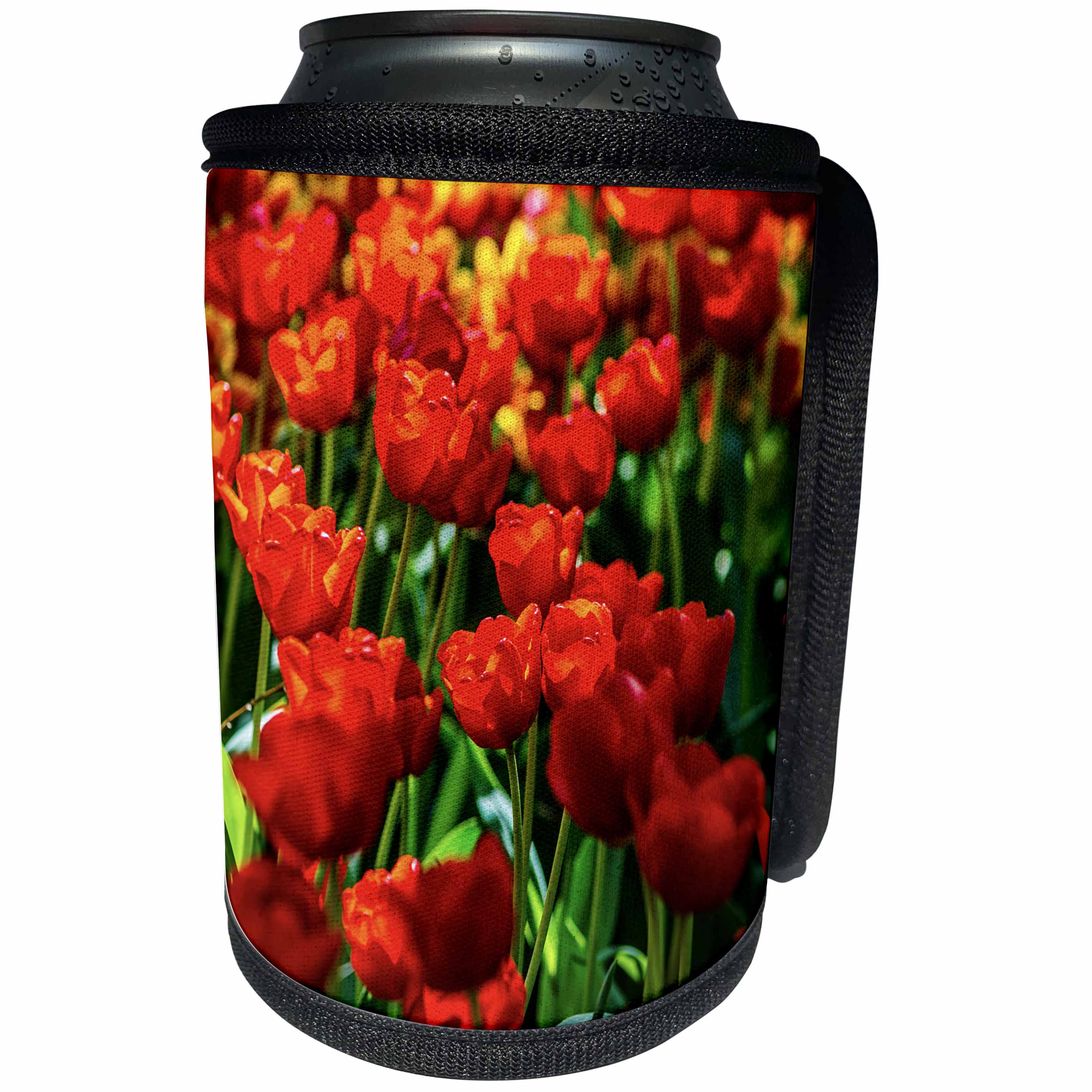 3dRose Alexis Photography - Flowers Tulip - Colorful, cheerful flowerbed of red tulips - Can Cooler Bottle Wrap (cc_270716)