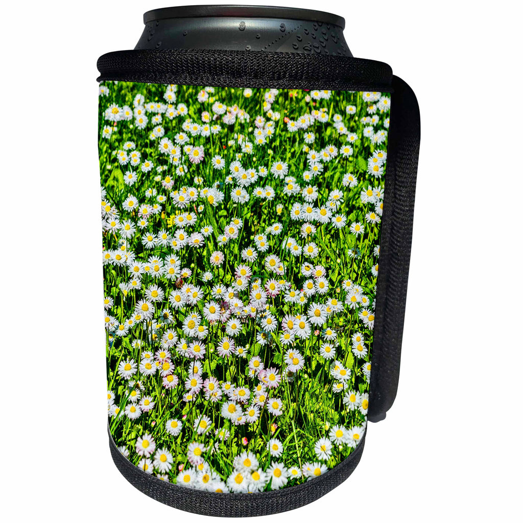 3dRose Alexis Photography - Flowers - Green field of white daisy flowers - Can Cooler Bottle Wrap (cc_270738)