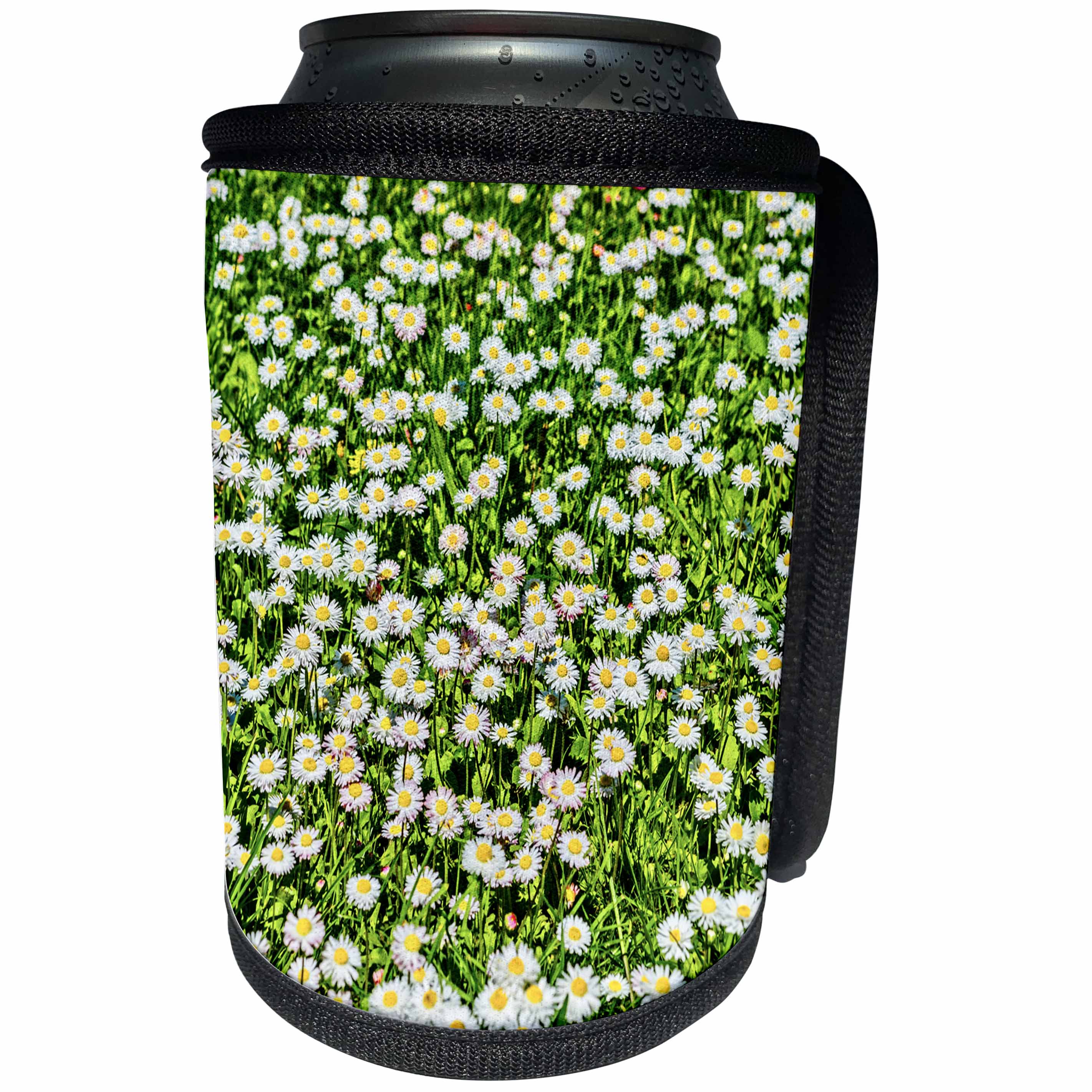 3dRose Alexis Photography - Flowers - Green field of white daisy flowers - Can Cooler Bottle Wrap (cc_270738)
