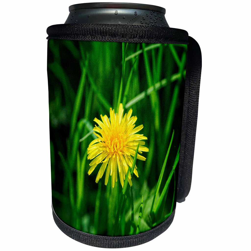 3dRose Alexis Photography - Flowers - Yellow dandelion flower, green grass - Can Cooler Bottle Wrap (cc_270739)