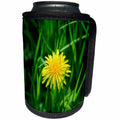 3dRose Alexis Photography - Flowers - Yellow dandelion flower, green grass - Can Cooler Bottle Wrap (cc_270739)