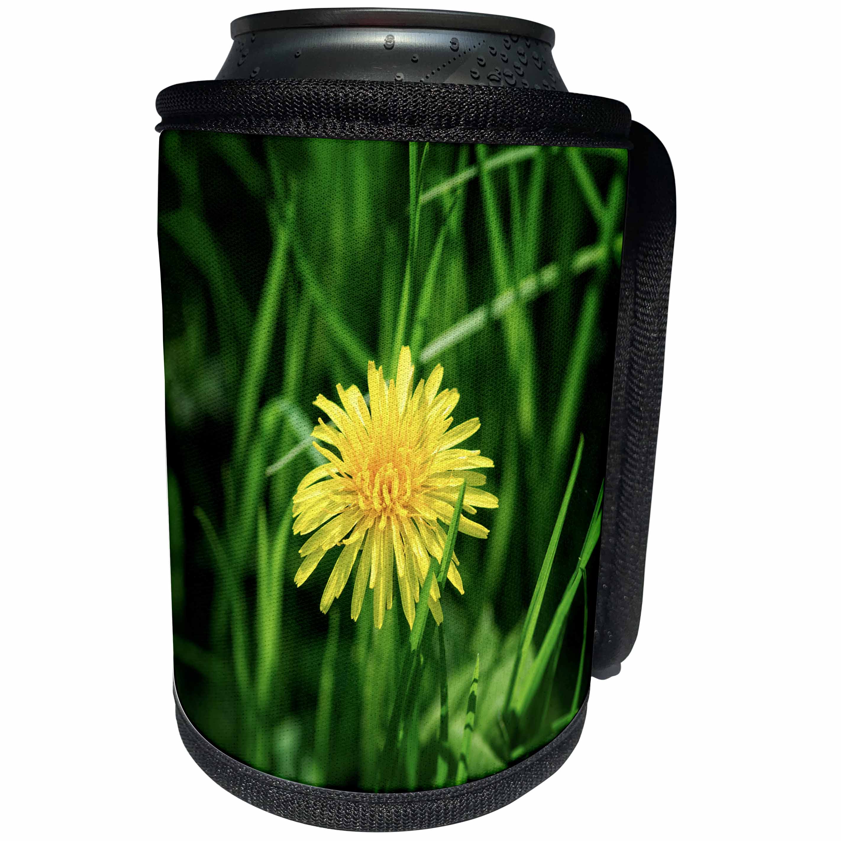3dRose Alexis Photography - Flowers - Yellow dandelion flower, green grass - Can Cooler Bottle Wrap (cc_270739)