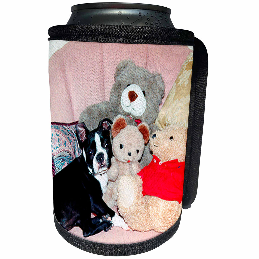 3dRose Dogs Boston Terrier - Boston Terrier - Can Cooler Bottle Wrap (cc_271)