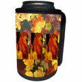 3dRose Florene Decorative - 3 Fall Leaves - Can Cooler Bottle Wrap (cc_27106)
