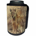 3dRose Andrea Haase Animals Illustration - African Lion Illustration - Can Cooler Bottle Wrap (cc_271181)