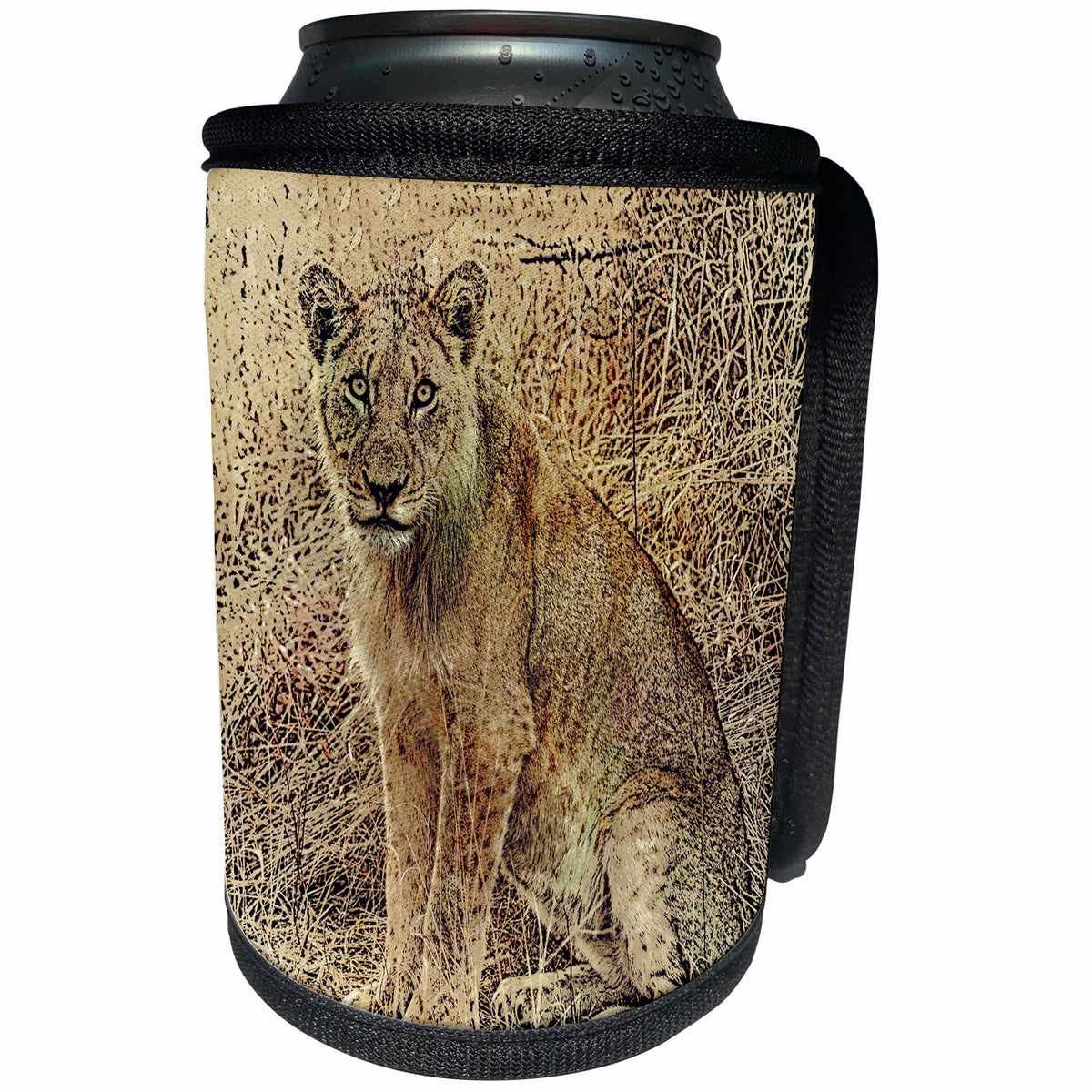 3dRose Andrea Haase Animals Illustration - African Lion Illustration - Can Cooler Bottle Wrap (cc_271181)