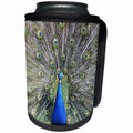 3dRose Andrea Haase Animals Photo - Lovely Peacock Bird - Can Cooler Bottle Wrap (cc_271197)