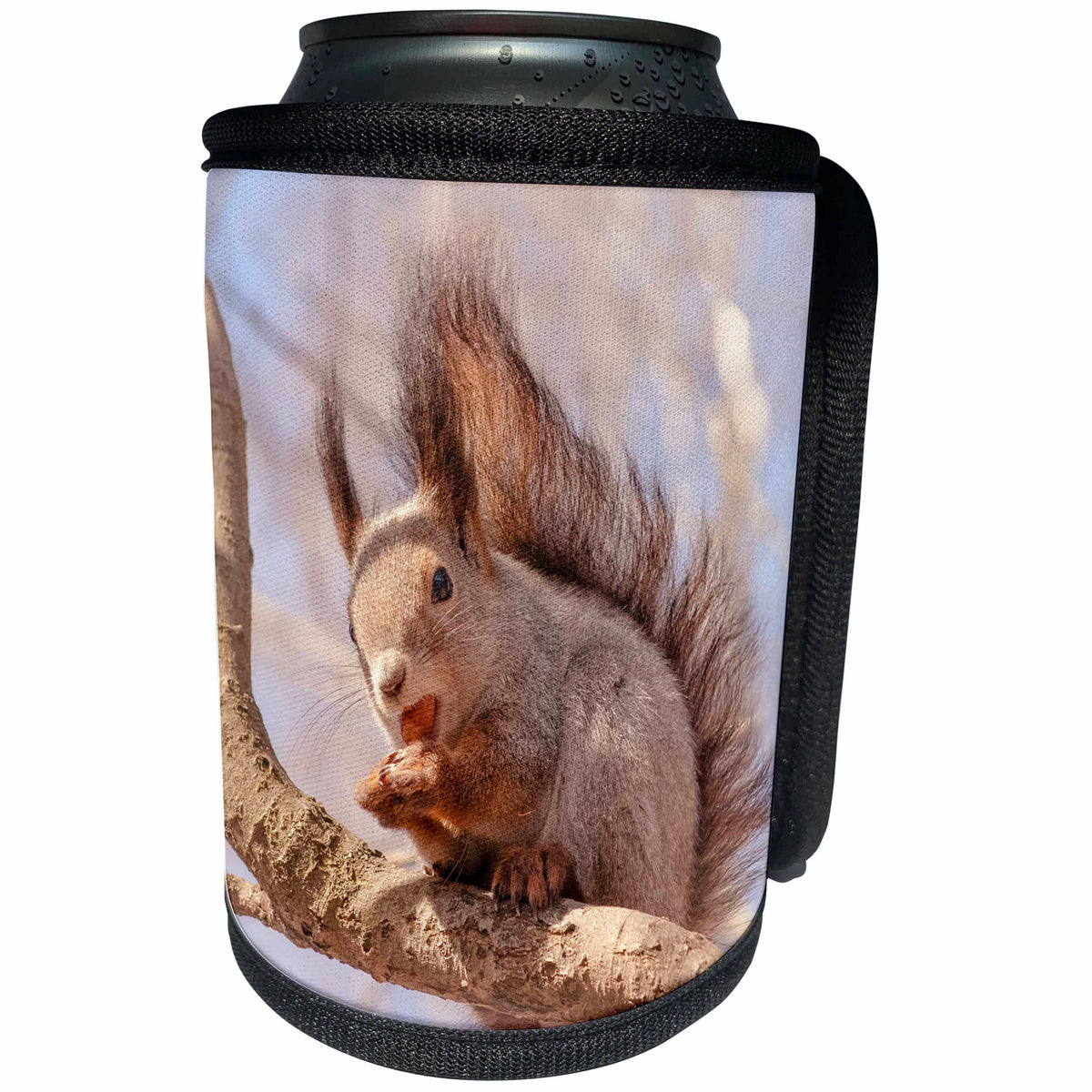 3dRose Alexis Photography - Animals - Funny squirrel sits on a tree branch and eats a hazel nut - Can Cooler Bottle Wrap (cc_271315)