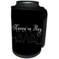 3dRose Alexis Design - American Beaches - American Beaches - Kaunaoa Bay, Hawaii, black background - Can Cooler Bottle Wrap (cc_271401)