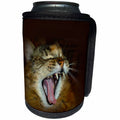 3dRose Renderly Yours Cats - Gorgeous Maine Coon Cat Meow Roar - Can Cooler Bottle Wrap (cc_27141)