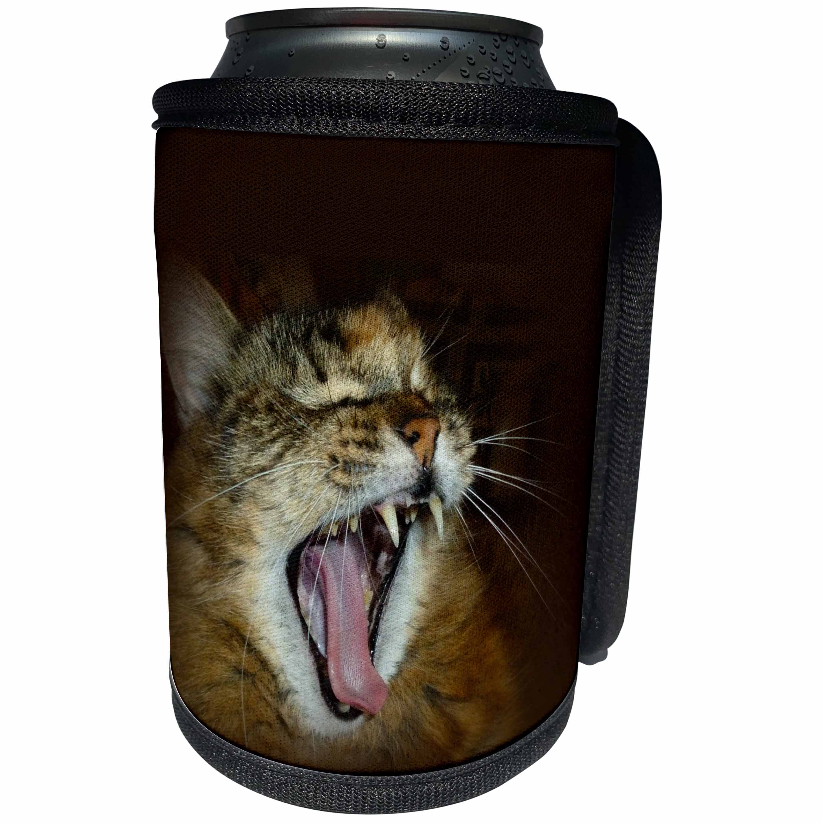3dRose Renderly Yours Cats - Gorgeous Maine Coon Cat Meow Roar - Can Cooler Bottle Wrap (cc_27141)