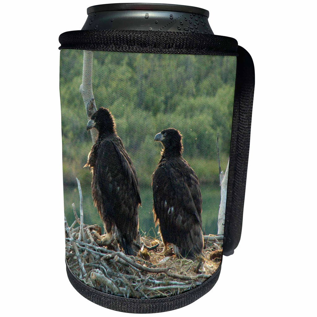 3dRose Krista Funk Creations Juvenile Bald Eagles - Young Bald Eagles in a Nest by the Yukon River - Can Cooler Bottle Wrap (cc_27144)