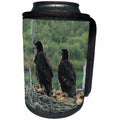 3dRose Krista Funk Creations Juvenile Bald Eagles - Young Bald Eagles in a Nest by the Yukon River - Can Cooler Bottle Wrap (cc_27144)